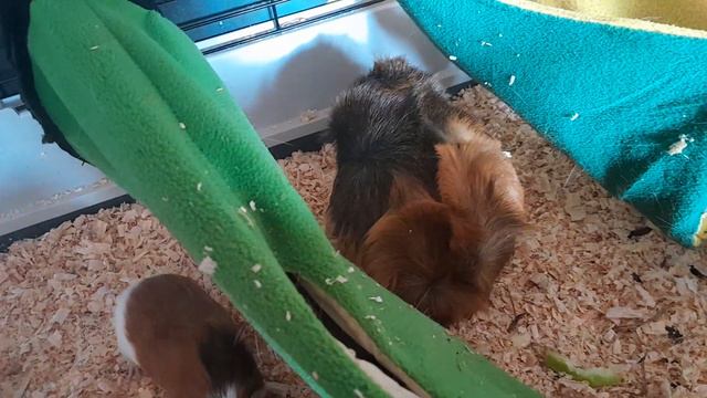 изменения 2 часть смотреть онлайн