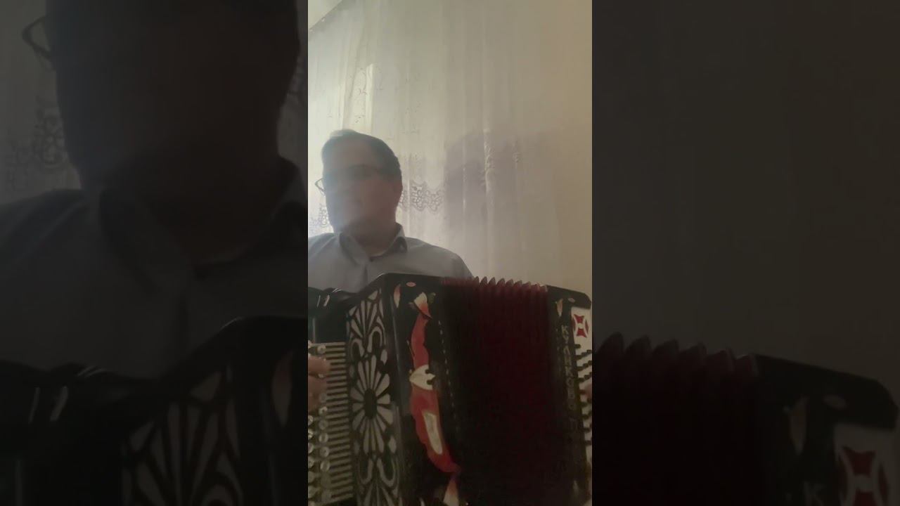 #гармонь смотреть онлайн