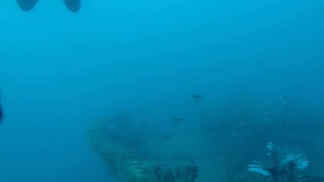 Дайвинг NDL. Хуан Долио. Доминикана. Корабль "Таня". смотреть онлайн