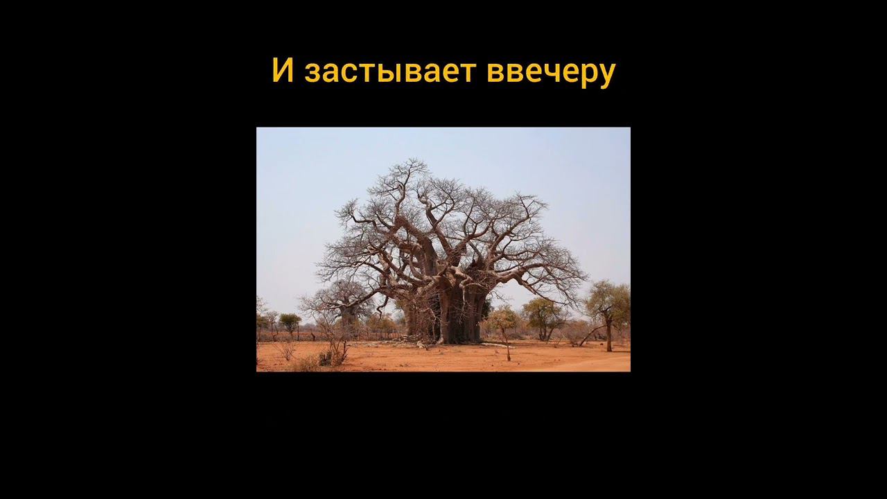 Сделайте звук громче Выразительно чтение стиха Анчар Продолжение ждите на канале, нажми . смотреть онлайн