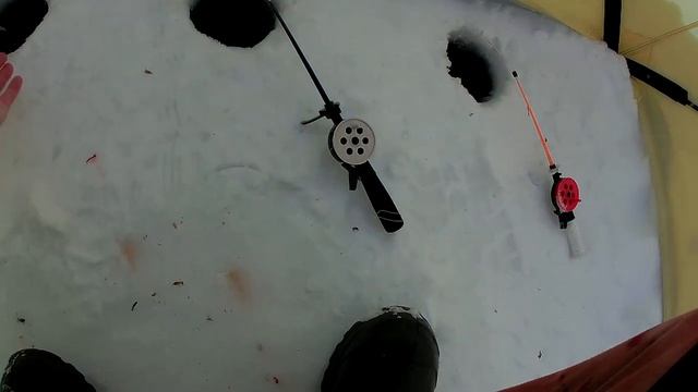 Зимняя рыбалка на окуня в палатке. Ловля окуня на мормышку. Зимняя рыбалка 2021-2022 смотреть онлайн