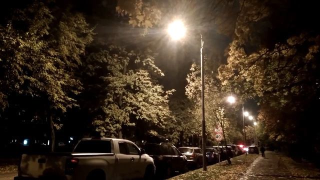 вечерний листопад смотреть онлайн