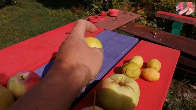 Осенние и зимние сорта яблонь и груш для Сибири. Сравнительный обзор. Ягодный сад. смотреть онлайн