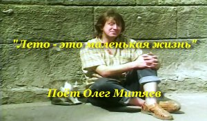 Лето - это маленькая жизнь