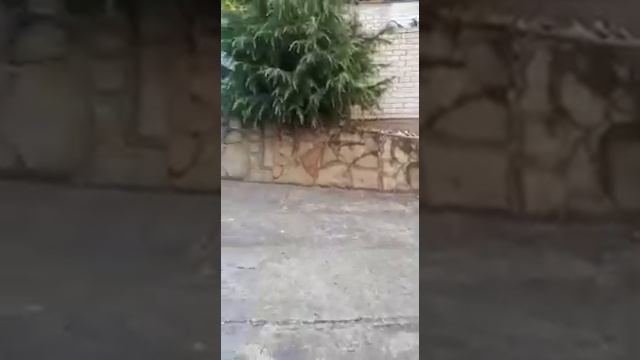 Гостевой дом "У Тамары" смотреть онлайн