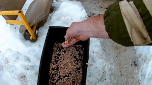 Терпуг горячего копчения. Копчение в домашних условиях, своё копчение. #терпуг#рыба#копчение#