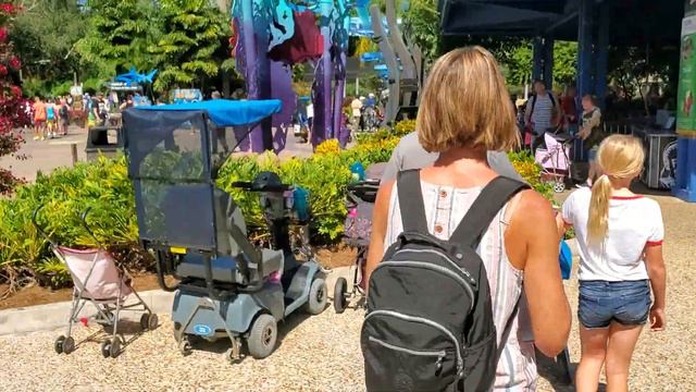 Гуляем в парке SeaWorld Orlando.Акулы.Лето 365 дней в году.Ч-2