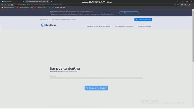 пак кфг и лау на вейви смотреть онлайн