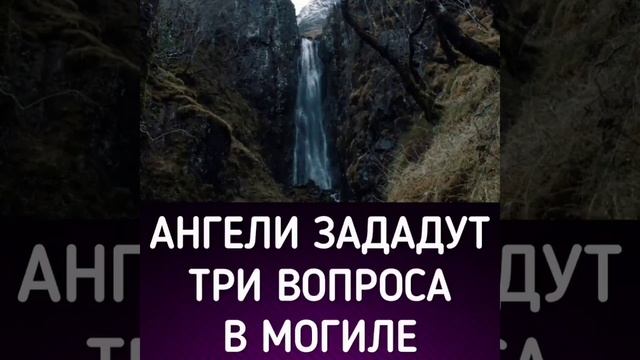 Вопросы в Могиле.