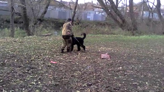VID_20161025_132708 смотреть онлайн