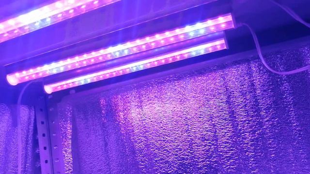 Посевная началась с цветов. смотреть онлайн