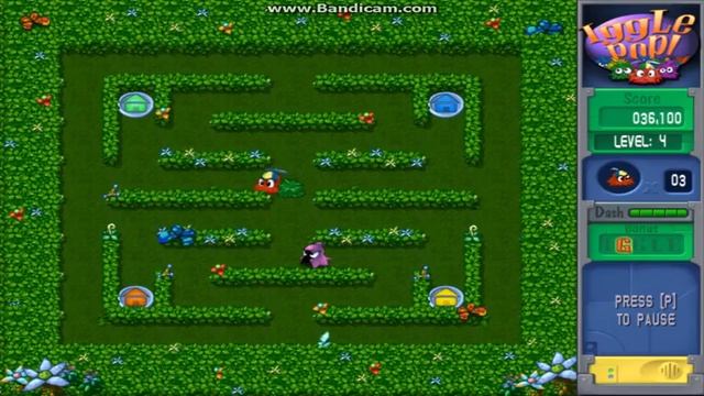 Iggle Pop! Gameplay(Levels 1-8) смотреть онлайн