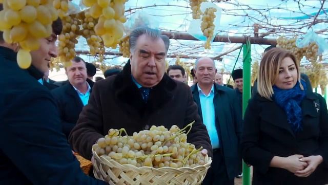 Ангур бог Хочи Неъмат ва Хочи Камол. шаҳри Турсунзода 03.01.2020 смотреть онлайн