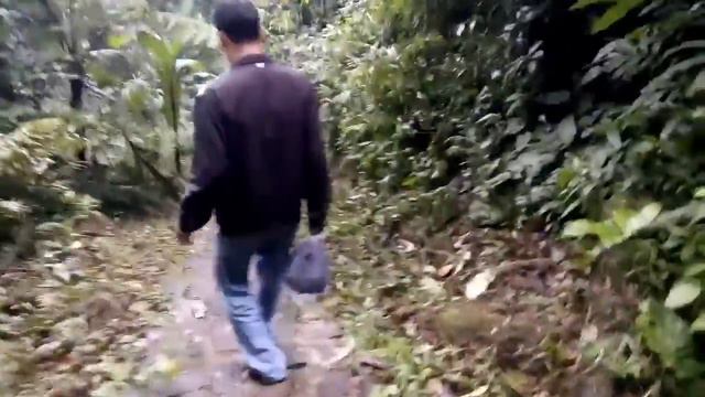 Thác Dambri (Dambri waterfall) Lâm Đồng 2017 смотреть онлайн