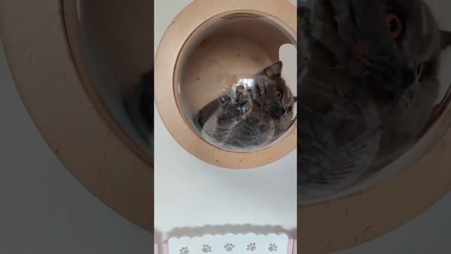 Иди кушать!!! смотреть онлайн