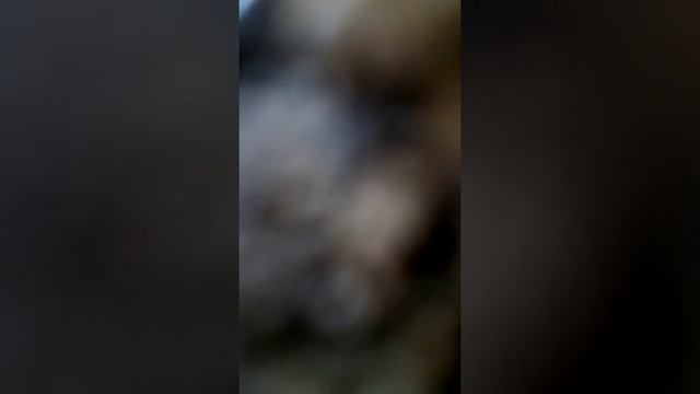 Что делать если ноутбук не четает флешку. смотреть онлайн