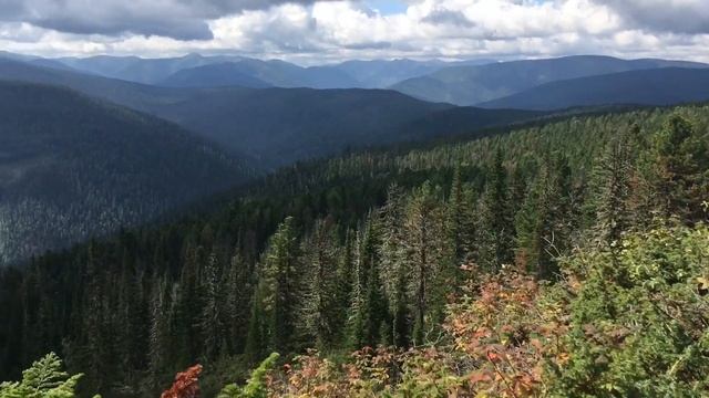 Таёжные выходные: поиски кедровой шишки, бездорожье, горы и скальники