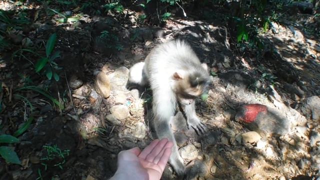 Удивительный ГОА \ Amazing GOA смотреть онлайн