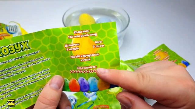 КАК ВЫРОСТИТЬ ДИНОЗАВРА ???? НОВИНКА Растущая игрушка в яйце «Dino Eggs» смотреть онлайн