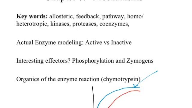 cHm260 sp15 wk07a enzymesandallosterism смотреть онлайн