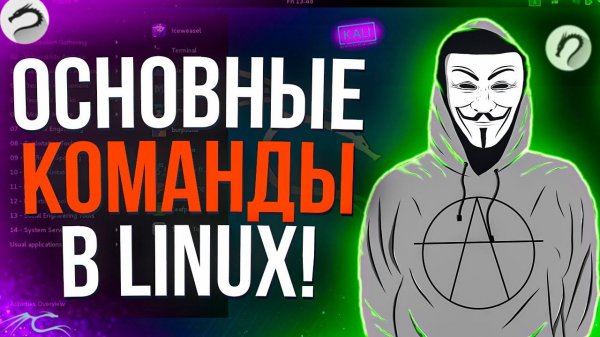 ОСНОВНЫЕ КОМАНДЫ Linux КОТОРЫЕ ДОЖНЫ ЗНАТЬ ВСЕ! ТОП команды Linux//ОСНОВНЫЕ КОМАНДЫ!