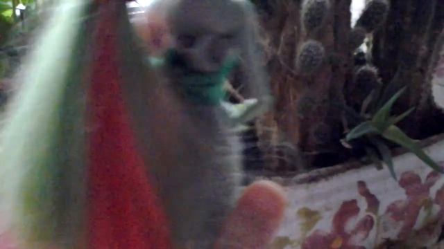 Мое самодельное платье смотреть онлайн