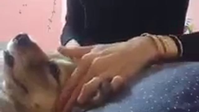 косметолог на карантине смотреть онлайн