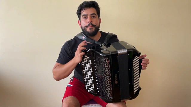 Acordeón Pigini Súper Varieté | Pigini Reviews 005 смотреть онлайн