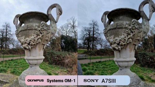 OM Systems OM-1 VS Sony A7SIII Camera Comparison | Olympus Wins!