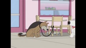 Brian Lets A Dog Loose Family Guy S8 Ep8