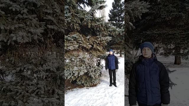 Страна читающая - Чилькины читают произведение "Чародейкою-Зимою..." Ф.И. Тютчева. смотреть онлайн