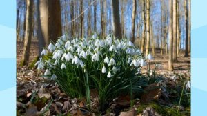 Минусовка песни "Мама, мама, мамочка, я тебя люблю"