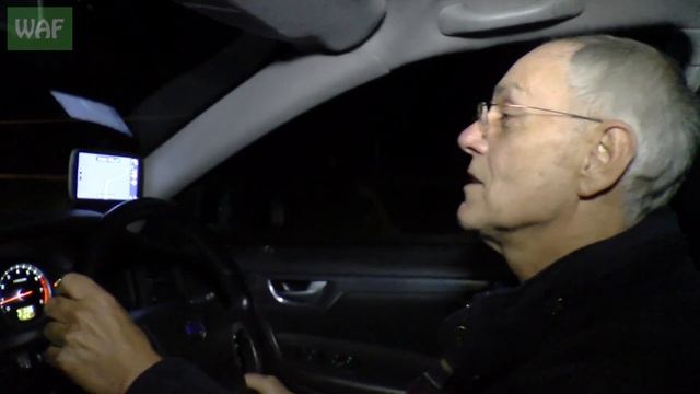 Lost fox in the house! смотреть онлайн