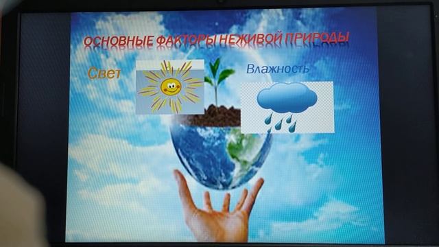 Биология 6 класс смотреть онлайн