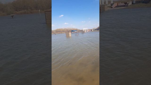#разлив#иртыш#разлив иртыша в казахстане смотреть онлайн