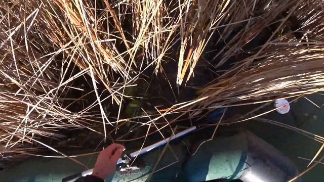 ЩУКА на КРУЖКИ.Рыбалка на хищника в октябре. смотреть онлайн