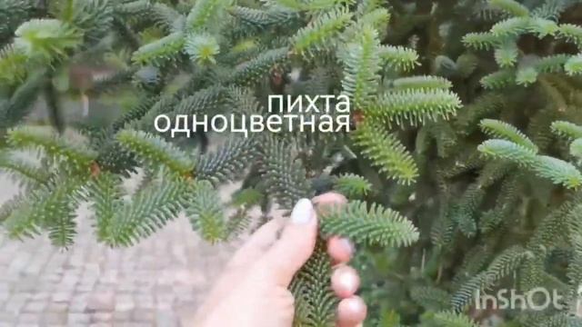 Санаторий Буревестник // Евпатория //как же хочется туда вернуться //