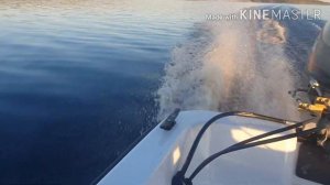 Лодка Кайман 300 и yamaha 15