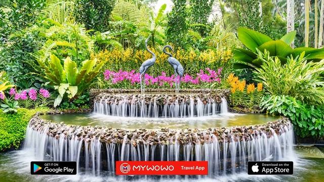 Ботанический Сад – Введение – Сингапур – Аудиогид – MyWoWo Travel App смотреть онлайн