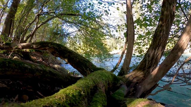 Релакс расслабление возле речки. Relax relaxation near the river. смотреть онлайн