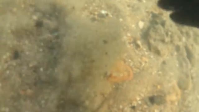 ПОДВОДНЫЙ КОП В ЧЕРНОМ МОРЕ смотреть онлайн