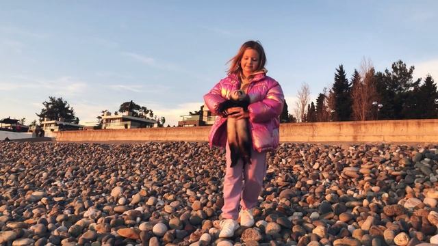 Январь в Сочи. Погода в Сочи зимой. Сочи сегодня. Сколько туристов в Сочи в новогодние каникулы. смотреть онлайн