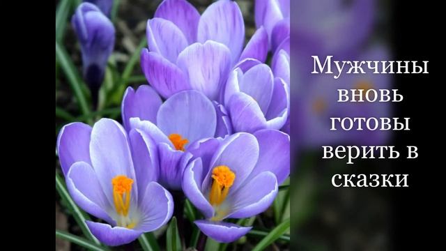 Весна и Женщины едины! смотреть онлайн