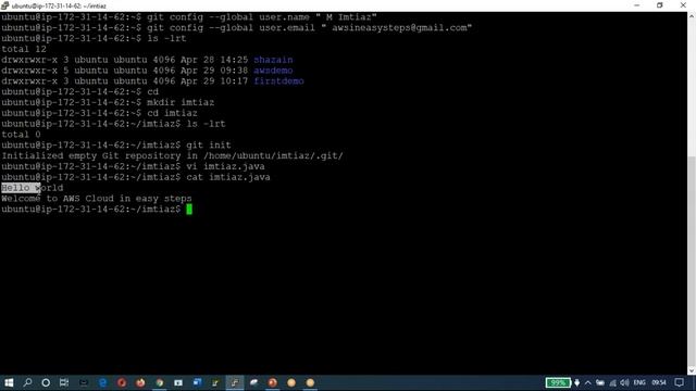 Git Setup and Create new local repository on AWS Ubuntu смотреть онлайн