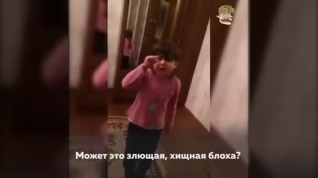 Маленькая девочка читает стихи о пенсии и ЖКХ смотреть онлайн