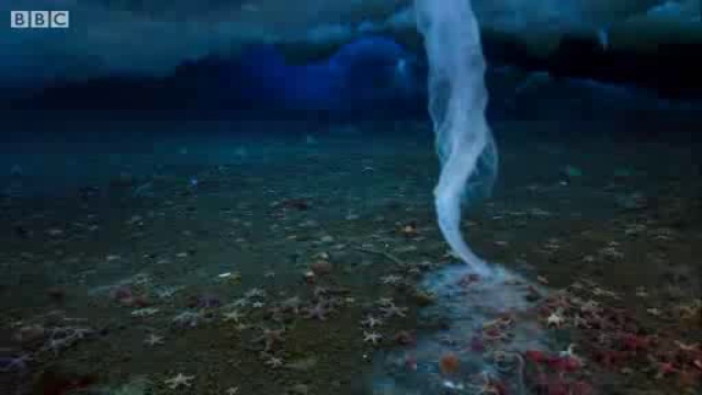 BBC Nature  'Brinicle' Ice Finger Of Death Filmed In Antarctic