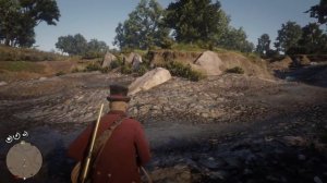 How to Get The Rare Splashed White American Paint Horse! Red Dead Redemption 2 Horses [RDR2]