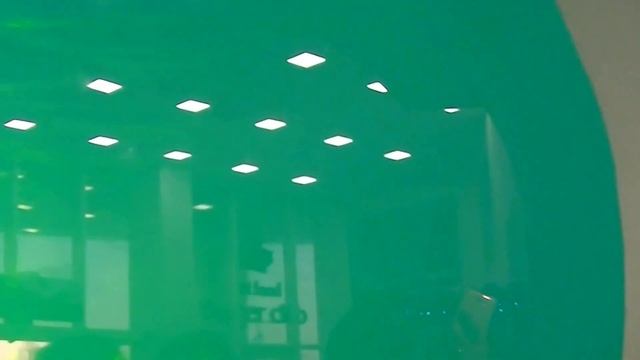 5. Дельфинарий. Дельфины в окошке бассейна  2.01.2017