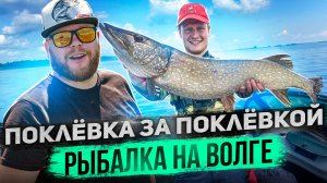 ПОКЛЁВКА ЗА ПОКЛЁВКОЙ РЫБАЛКА НА ВОЛГЕ