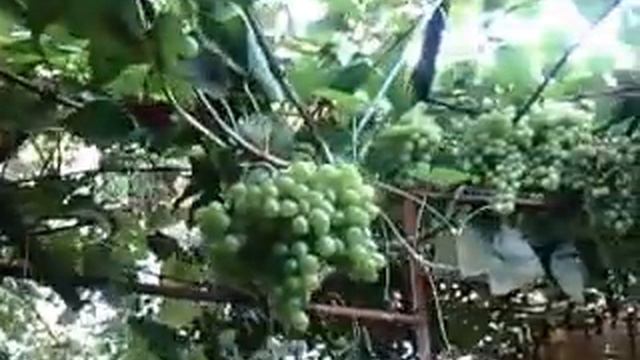 Деревянные изделия смотреть онлайн